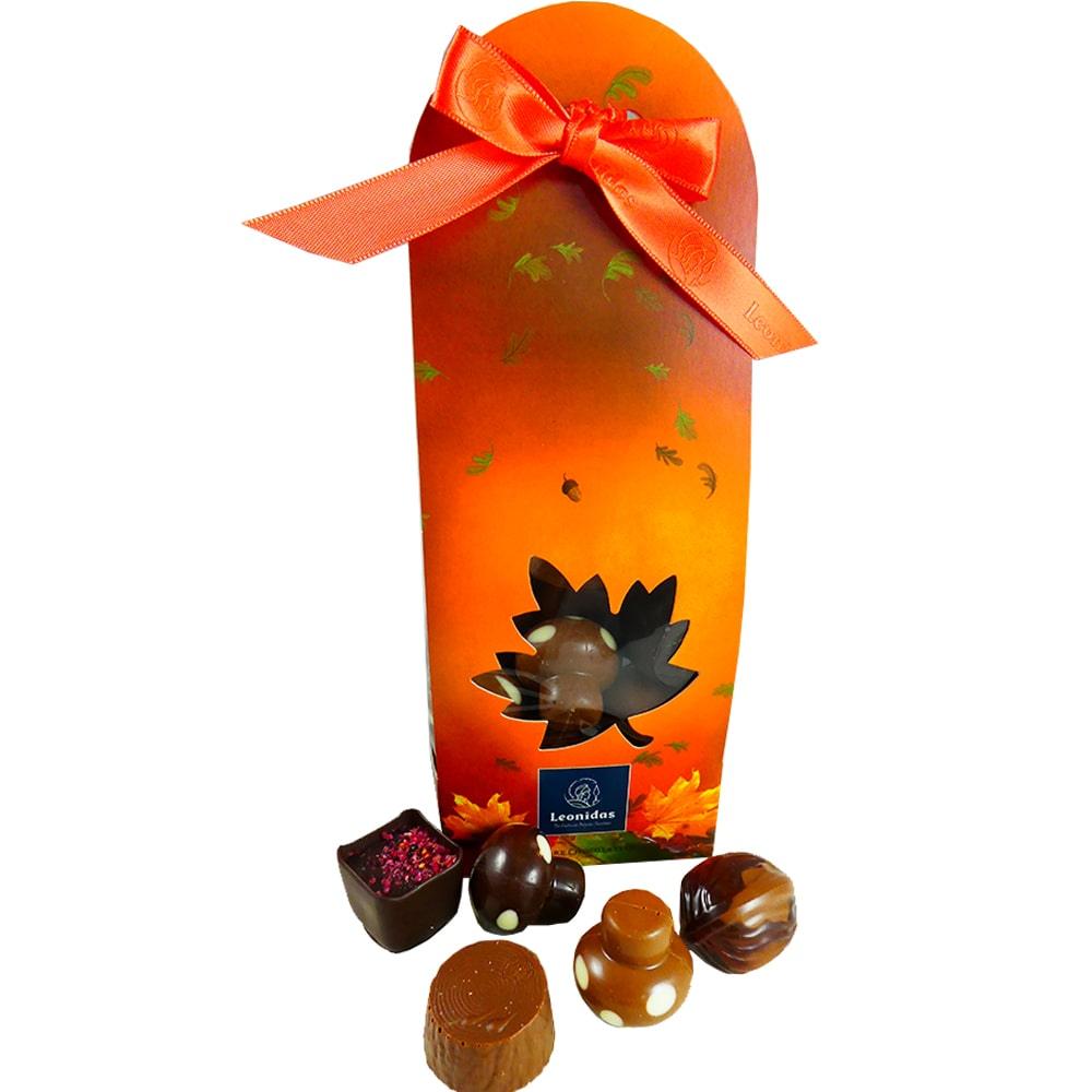 15 Assorted Autumn Chocolates Bag - leonidasbrighton.co.uk - Leonidas Brighton