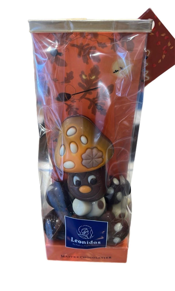 Autumn Bag with Mushroom Chocolates