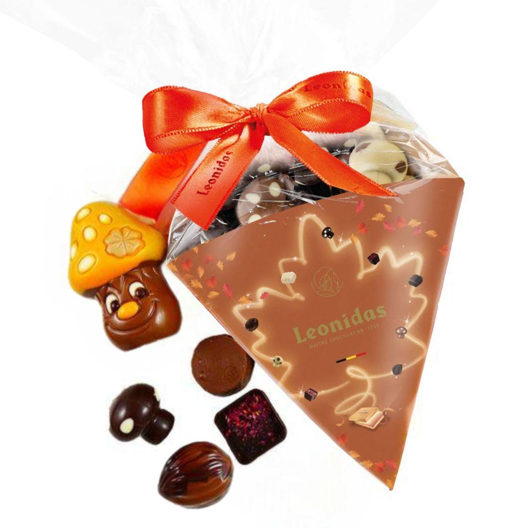 Autumn Assorted Chocolates Cone - leonidasbrighton.co.uk - Leonidas Brighton