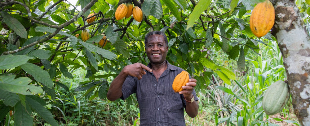 Fairtrade cocoa farmer