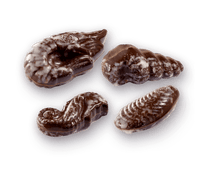 SeaShell Chocolates Ballotin Box by weight - leonidasbrighton.co.uk - Leonidas Brighton