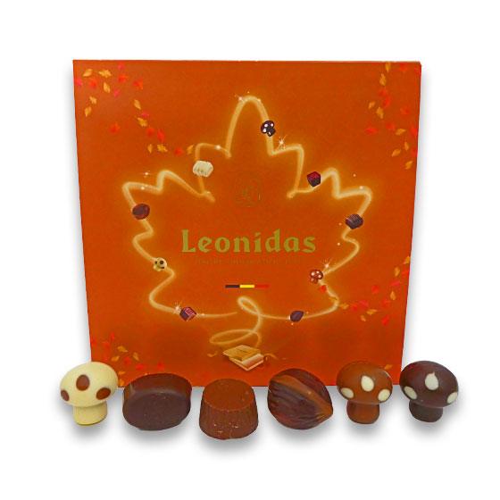 
                      
                        Limited Edition 20 Chocolate Autumn Box - leonidasbrighton.co.uk - Leonidas Brighton
                      
                    