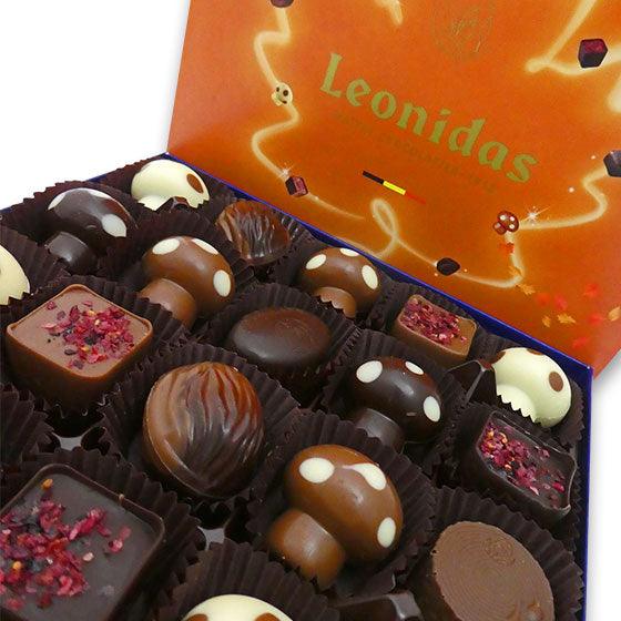 
                      
                        Limited Edition 20 Chocolate Autumn Box - leonidasbrighton.co.uk - Leonidas Brighton
                      
                    