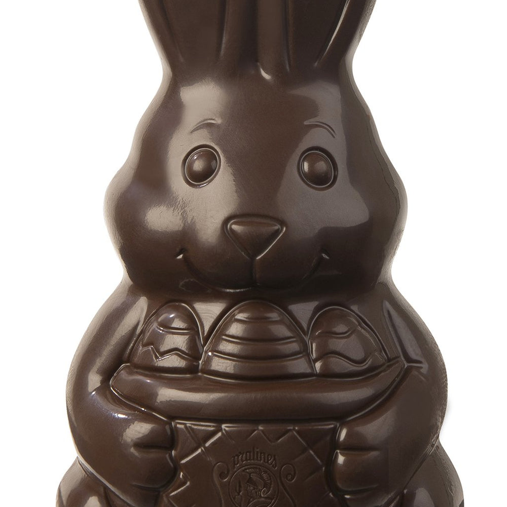 
                  
                    Medium Easter Rabbit + 4 mini eggs - www.chocolateorders.com
                  
                