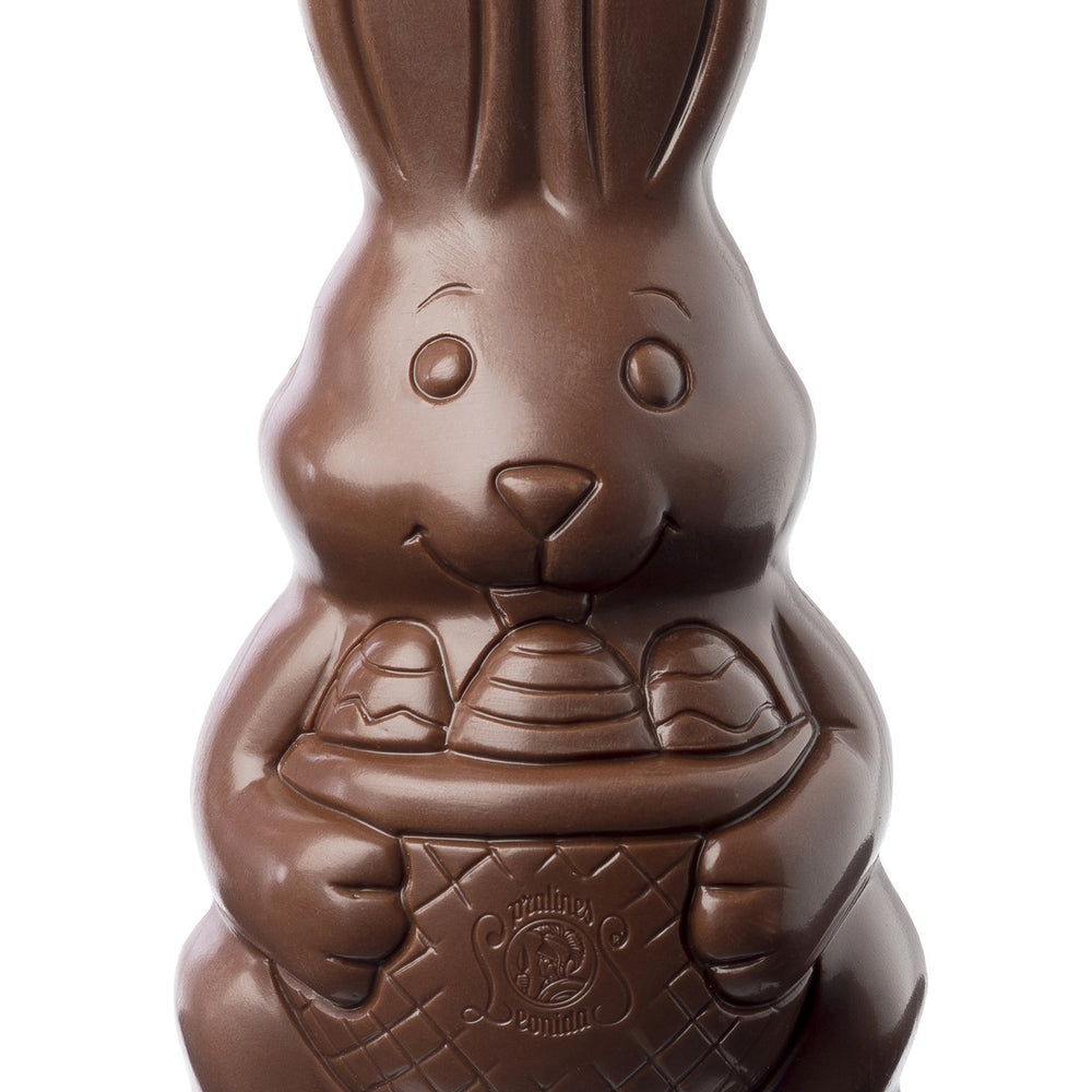 
                  
                    Extra Large Easter Chocolate Bunny 400g. - www.chocolateorders.com
                  
                