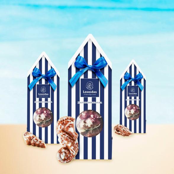 Leonidas Summer Beach Hut Blue - SeaShell Chocolates - leonidasbrighton.co.uk - Leonidas Brighton